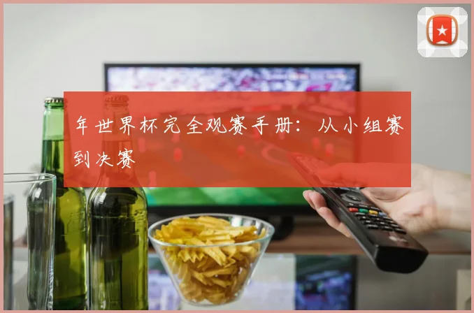 年世界杯完全观赛手册：从小组赛到决赛