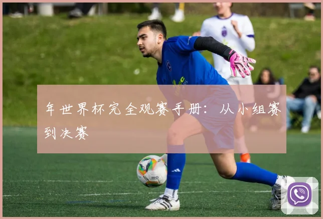 年世界杯完全观赛手册：从小组赛到决赛