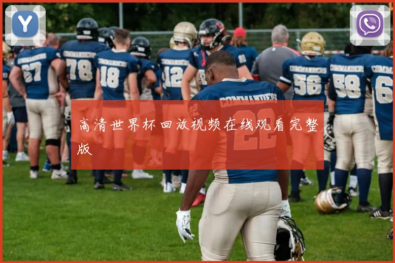 高清世界杯回放视频在线观看完整版